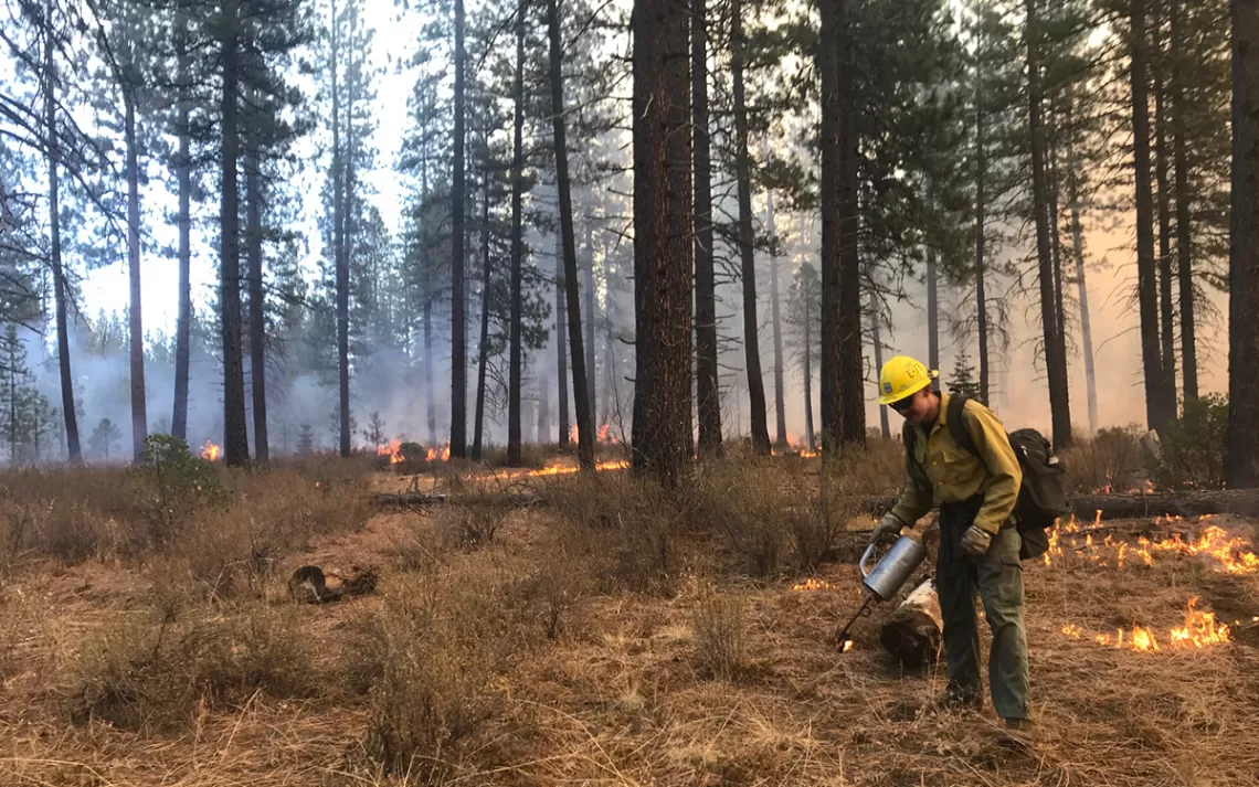 Gestionnaires d'incendie et pompiers sur l'incendie de sous-étage prescrit de Harris de 340 acres le 12 octobre 2018 au nord-est de McCloud dans la forêt nationale de Shasta-Trinity (photo USFS par Liz Younger, planificateur des incendies de forêt)
