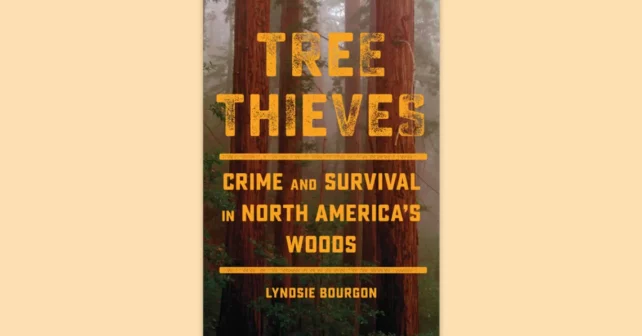 Image de couverture du livre Tree Thieves: Crime and Survival in North America's Woods