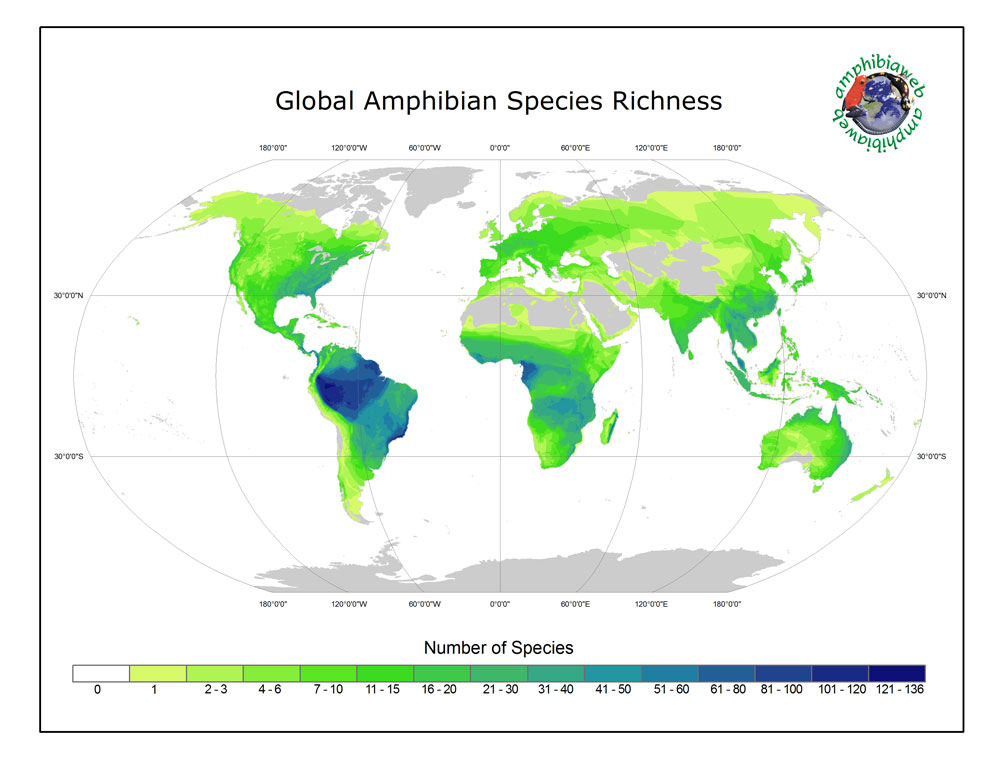 Diversité des amphibiens