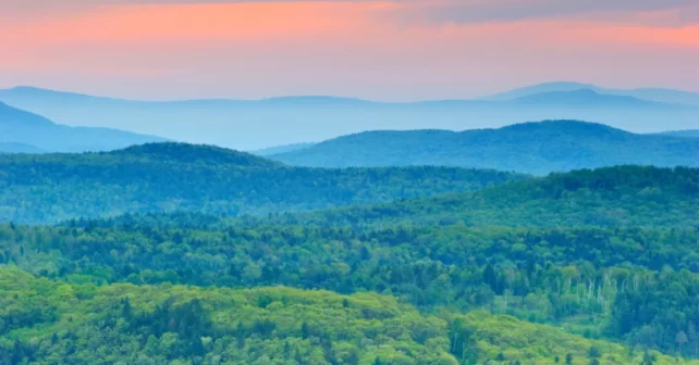 Arbre couvert des montagnes du Vermont au lever du soleil.