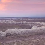 La conservation pourrait bénéficier d’un énorme coup de pouce sur des millions d’acres