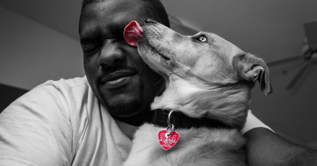 7 raisons d'acheter un collier personnalisé à son chien