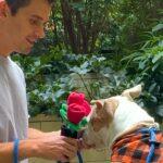 Antoni Porowski en rendez-vous de rêve avec un adorable pitbull – Regardez la vidéo !