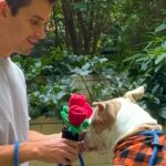 Antoni Porowski en rendez-vous de rêve avec un adorable pitbull – Regardez la vidéo !