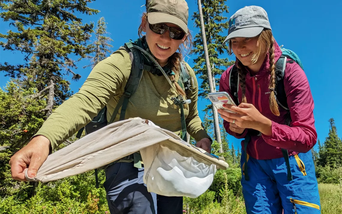 Jessie Roughgarden et Pauline Peterson rient et photographient un scarabée qu'elles ont attrapé dans un filet.