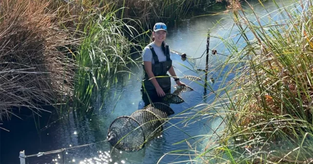 Emma Priger porte des cuissardes et sourit à la caméra tout en tenant un filet dans un ruisseau étroit bordé d'herbes hautes.