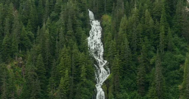Des cascades déferlent dans la baie de Red Bluff, sur l'île Baranof, dans la forêt nationale de Tongass, dans l'archipel Alexander de l'Alaska.