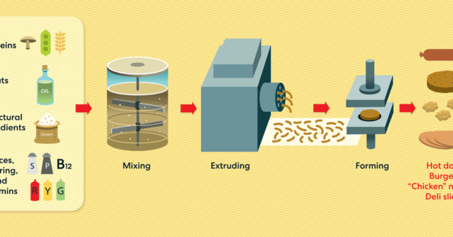 L’illustration montre des protéines de soja, de pois et de pomme de terre transformées en équivalents de viande.