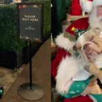 Ce Bulldog en détresse fait la rencontre du Père Noël pour demander un foyer pour Noël – Tu n’imagines pas sa réaction ! 🎅🏡