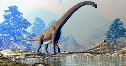 Un énorme Titanosaure découvert dans les Pyrénées - Espèces-menacées.fr