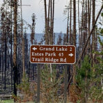 Transformation des terres publiques : reprise des incendies de forêt dans les parcs