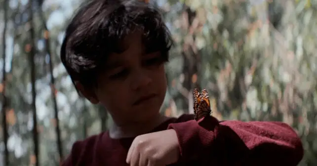 Jeune garçon en pull rouge avec papillon monarque sur le bras.