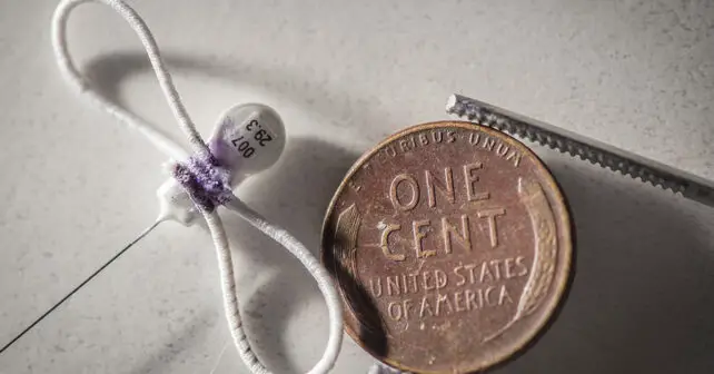 Très petite étiquette radio avec un morceau d'élastique en forme de papillon à côté d'un centime pour l'échelle.