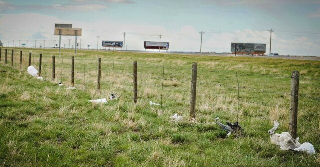 L’activisme océanique au cœur du pays ?  Les éleveurs se réjouissent de l’idée.