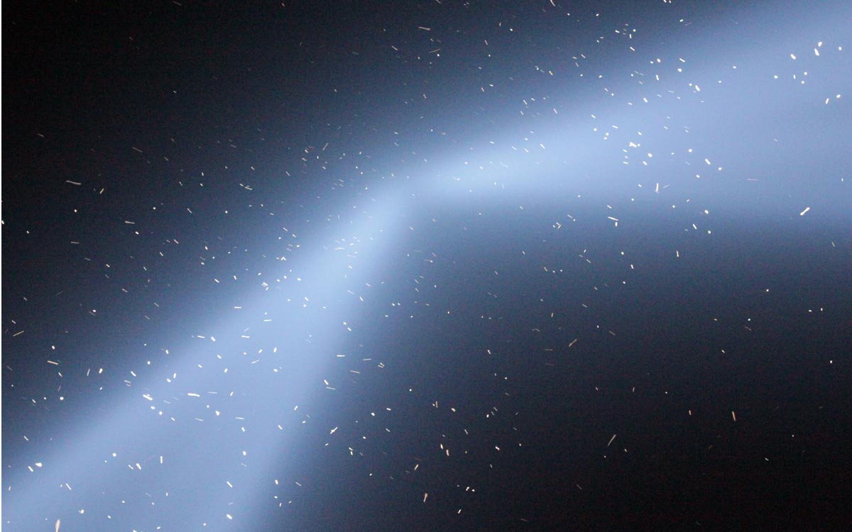 Des centaines de petits oiseaux vus d'en bas, sur un ciel nocturne et deux faisceaux lumineux