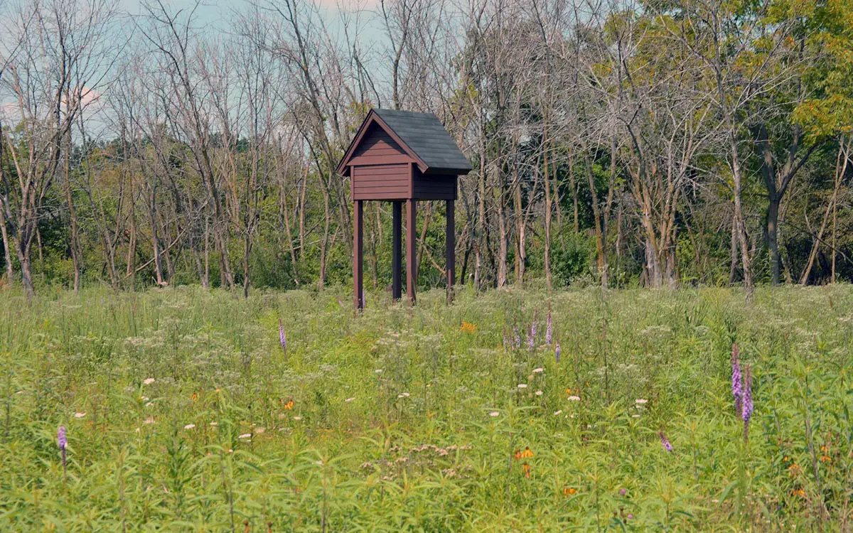 Petite maison marron sur pilotis pour petites chauves-souris brunes dans un champ de fleurs sauvages, 
