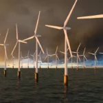Comment les éoliennes océaniques affectent-elles la faune ?
