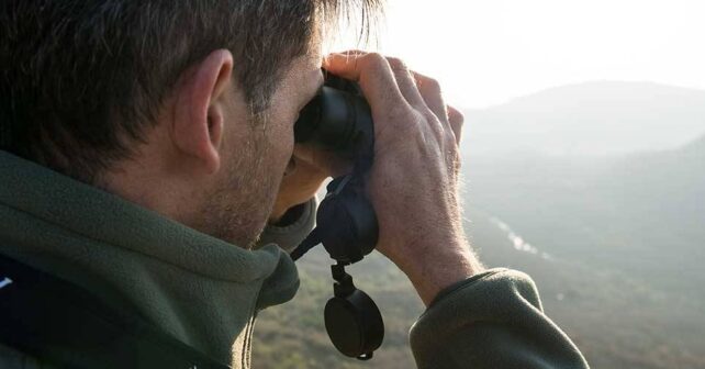 Guide de jumelles pour un safari et/ou pour l’ornithologie