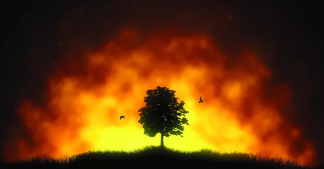 Illustration d'un seul arbre touffu découpé sur un paysage de feu
