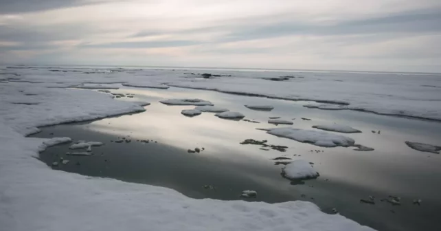 La fonte des glaces de mer a formé des mares d'eau de fonte au large de Kaktovik, en Alaska, en juillet.  Réserve faunique nationale de l'Arctique