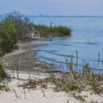 Alerte : Le sol s’enfonce et empire les inondations causées par la montée du niveau de la mer !