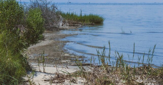 Attenzione: il terreno sta sprofondando e le inondazioni causate dall'innalzamento del livello del mare si stanno aggravando!