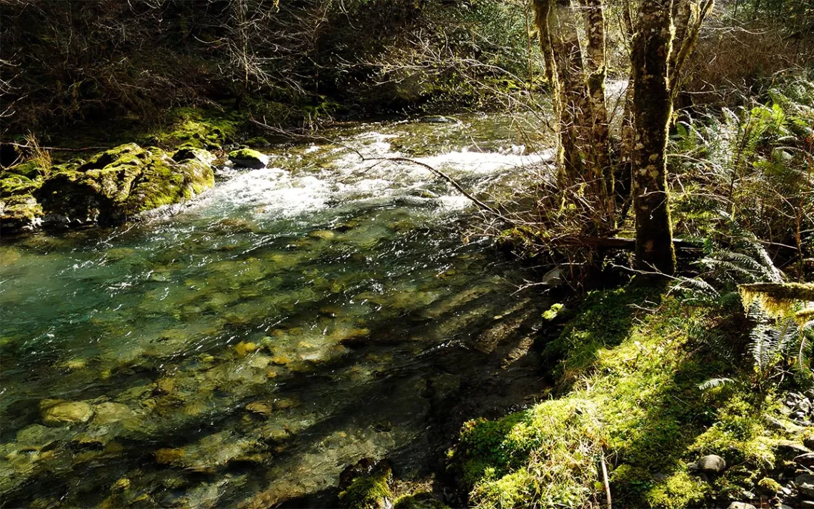 Affluents d'amont de la rivière Elk