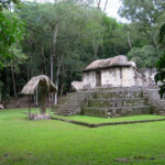 Les Mayas anciens élevaient des chiens pour les sacrifier et les manger : révélations surprenantes !