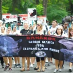 La marche mondiale pour les éléphants et les rhinocéros