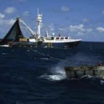 La pêche en haute mer est aussi peu durable sur le plan économique qu’écologique