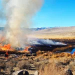 Les incendies restaurent les zones humides pour les poissons du désert