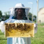 Les nouveaux travailleurs industriels de Detroit : les abeilles