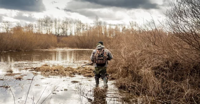 Chasseur dans un marais