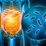 Découvrez les cinq aliments prébiotiques qui vont révolutionner votre santé intestinale !