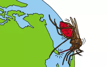 moustique sur un globe