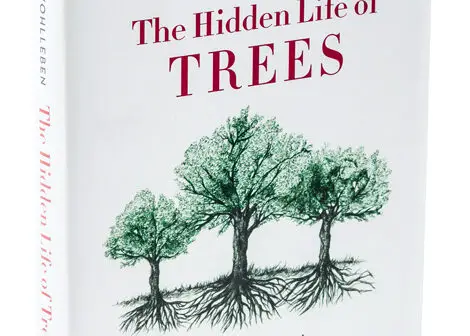 La vie cachée des arbres de Peter Wohlleben
