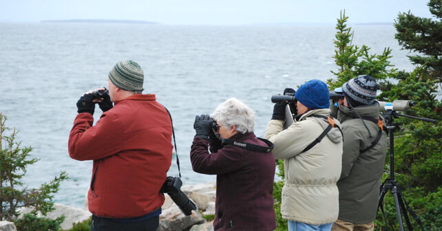 Montre de mer Acadie