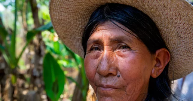 Une femme se retrouve sans abri à cause des incendies de forêt dans la région de Santa Cruz en Bolivie