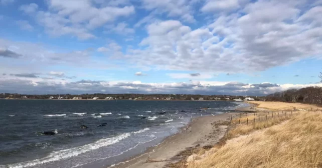 Des rochers ont été ajoutés à une plage restaurée le long de Shinnecock Inlet pour lutter contre l'érosion.