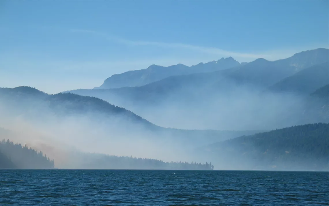 Incendie de forêt WUI