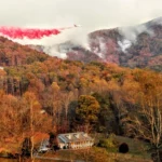 Les incendies de forêt enveloppent le sud-est de fumée