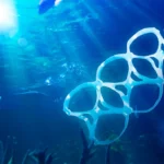 Salut M. Green !  Quelle est la meilleure façon de garder les couvercles en plastique hors de l’océan ?