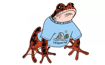 illustration d'une grenouille portant un t-shirt
