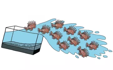 illustration de 10 poissons-lions s'échappant d'un aquarium