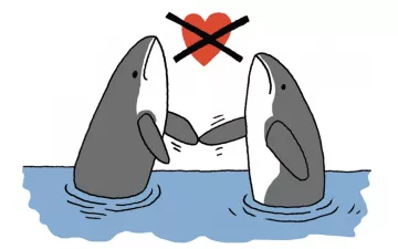 illustration de deux orques avec un coeur barré au milieu