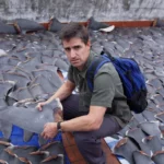 Extinction des courses