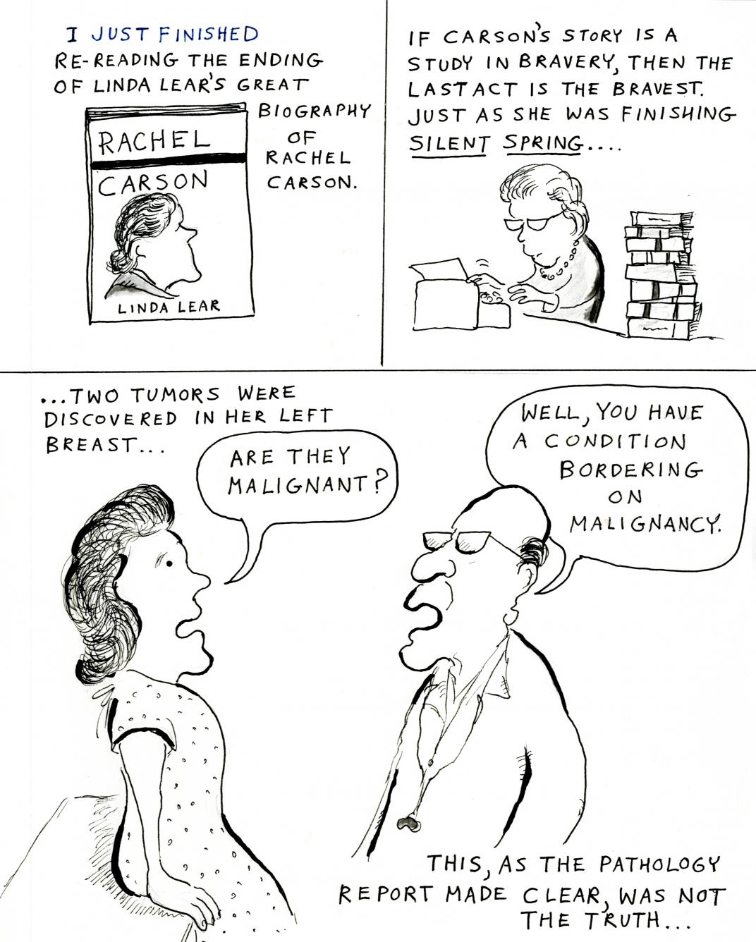 Dessin animé de Rachel Carson