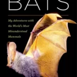 La vie secrète des chauves-souris