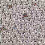 Illusion optique : pouvez-vous repérer le chat caché parmi les ratons laveurs ?