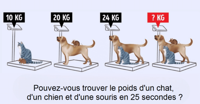 Casse-tête pour tester votre QI